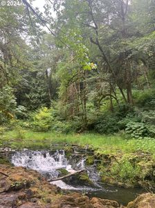 Beaver Falls Rd, Clatskanie, OR, 97016