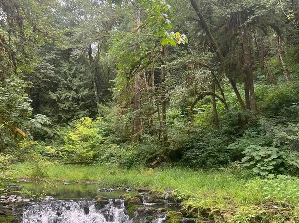 Beaver Falls Rd, Clatskanie, OR 97016