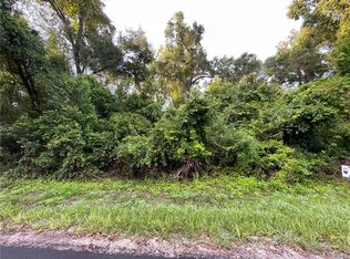 1142 E Runnels Ln, Holder, FL 34442