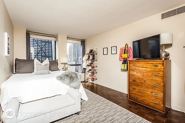 260 E Chestnut St #3201 — Photo 10