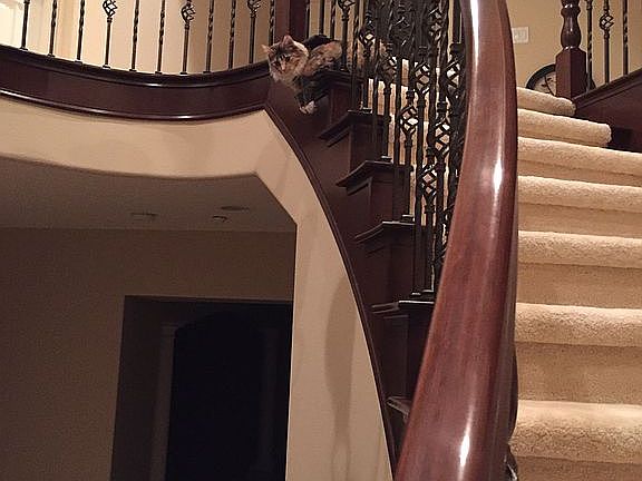 Wrought-iron staircase