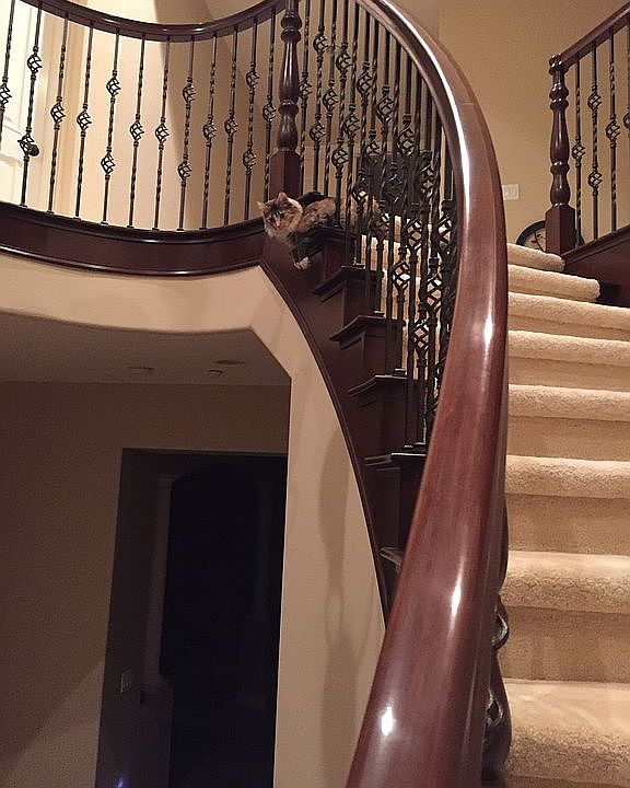 Wrought-iron staircase