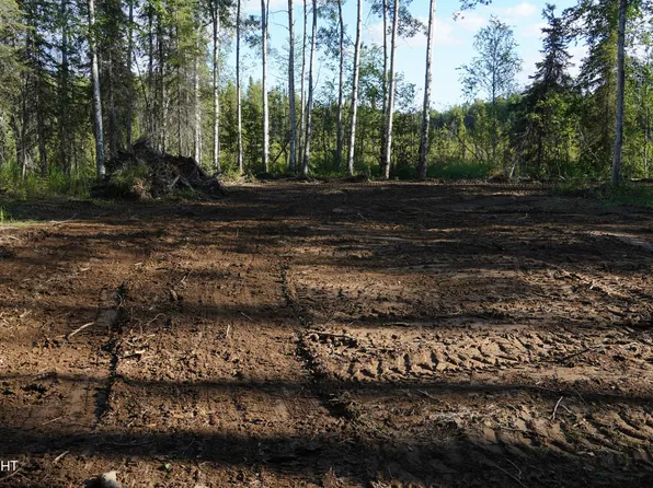 13903 N Pyrite, Willow, AK 99688
