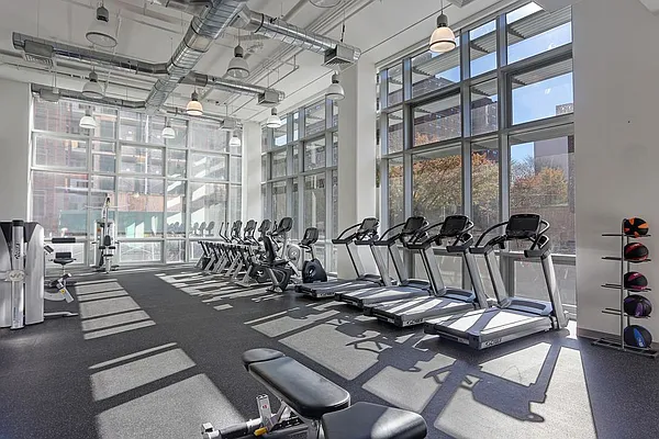 Rented by Red Apple Group | media 51