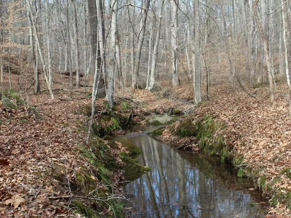 Eggbornsville Rd, Rixeyville, VA 22737
