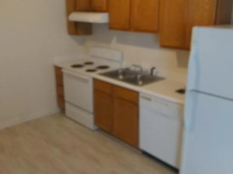 209 E Wilson St #119 — Photo 4