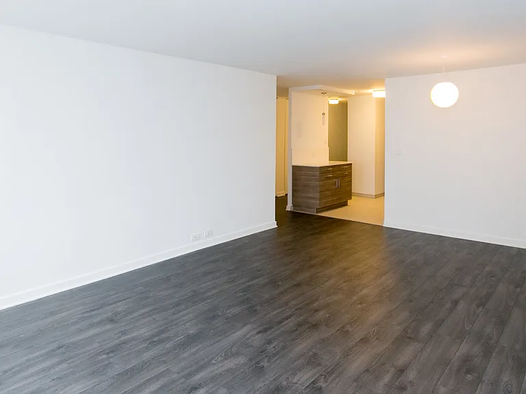 Dining/Living room