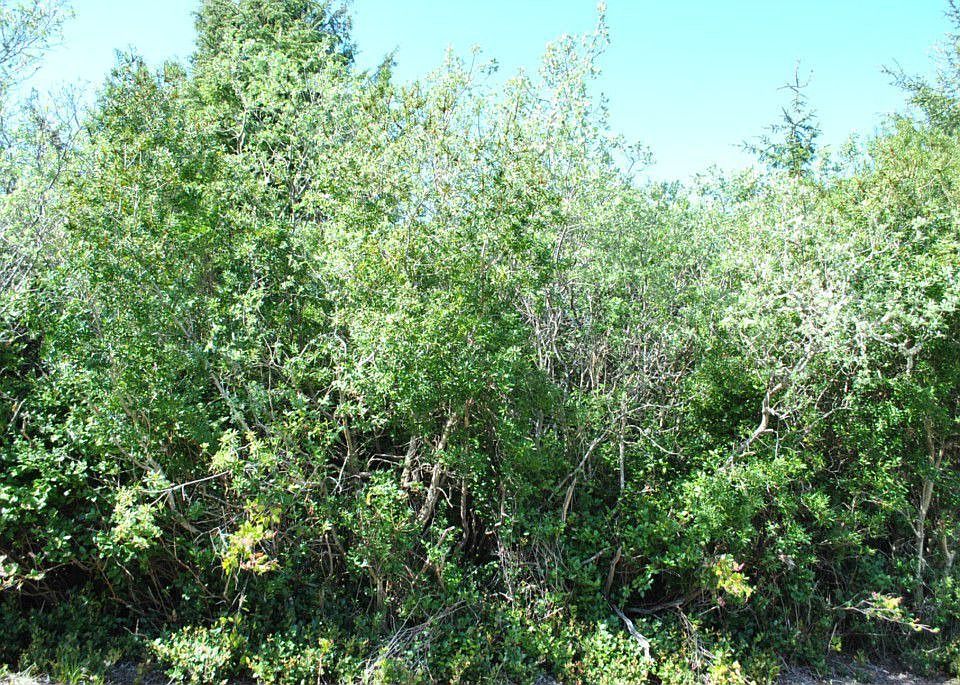 2nd image of 171 Spruce Loop SW