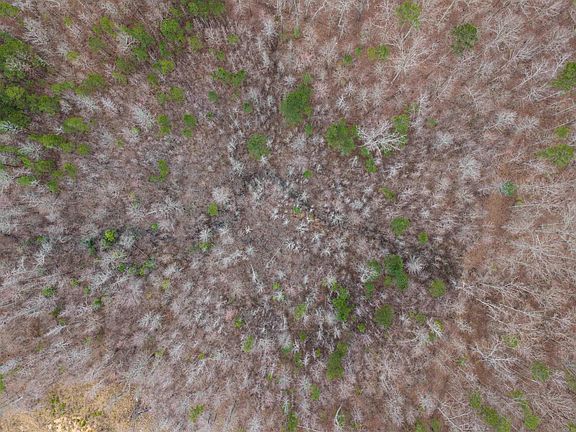 5th image of 0 Reed Rd