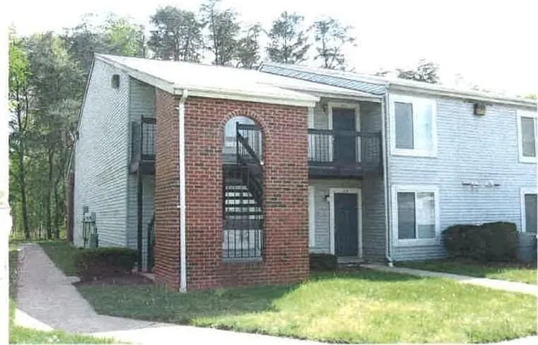 Pine View Apartments — Photo 16