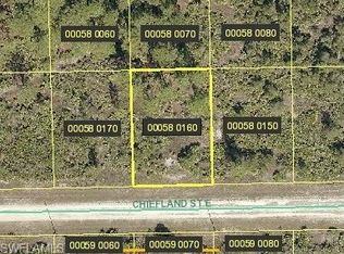 1119 Chiefland St E, Lehigh Acres, FL 33974