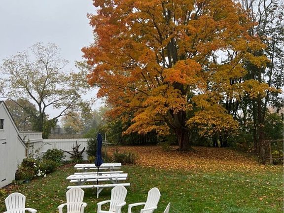 Backyard in Autumn