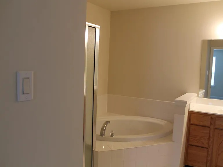 Master Bath Tub & Shower