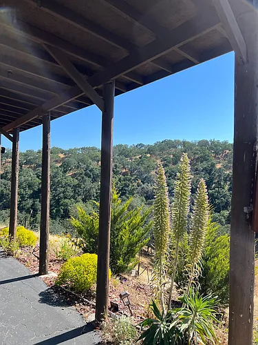 10775 Santa Ana Rd Photo 1