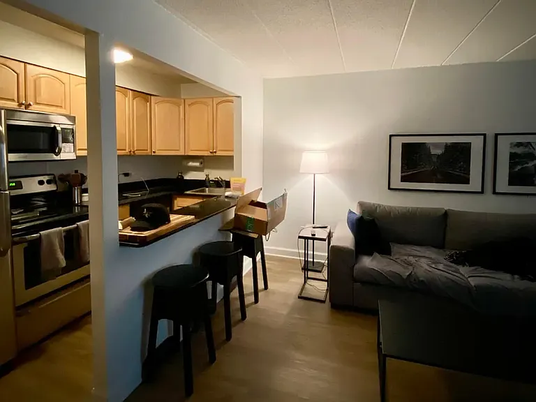 2225 N Halsted St #G3 — Photo 3