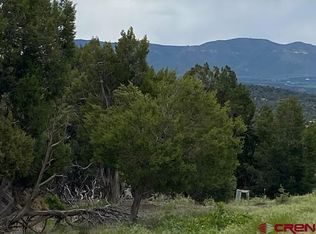 TRACT 104 Road 35, Mancos, CO 81328