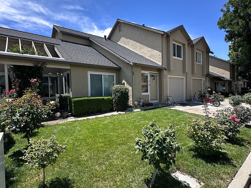 Front Lawn with Rose Plants