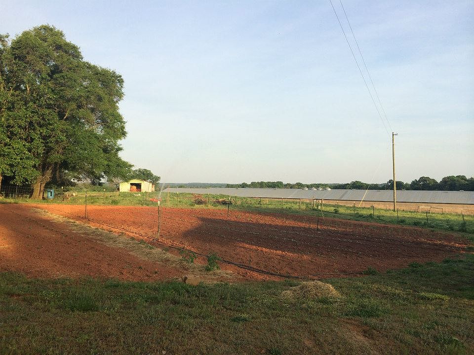 2nd image of 435 Reno Rd
