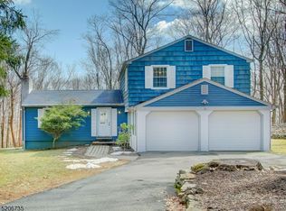 10 Long Ridge Rd, Randolph, NJ 07869