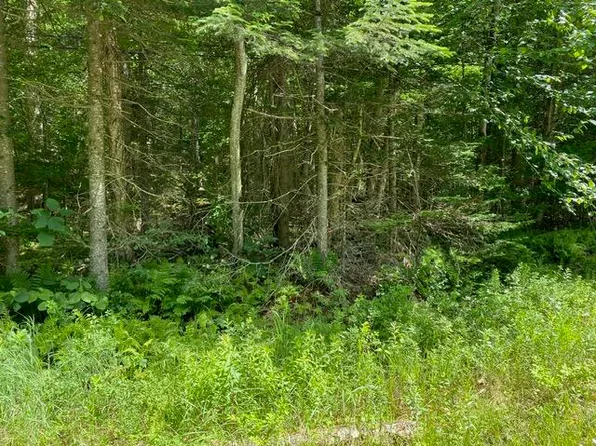 2 Sequoia Rd, Thendara, NY 13472