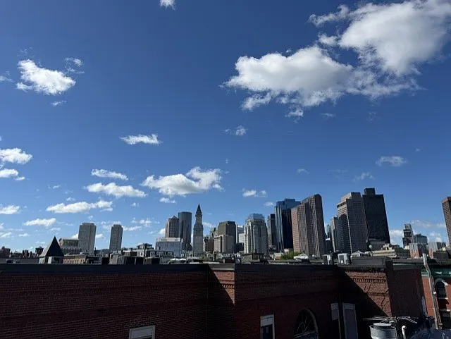 2 bed, 750 sqft, $3,800 — Photo 2
