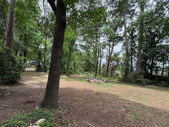 5th image of 0 Sagewood Dr Lot 234