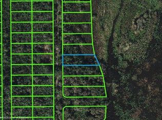553 Lakesedge Dr, Lake Placid, FL 33852