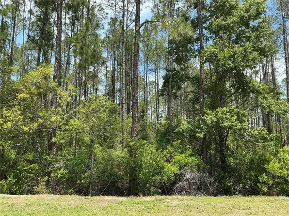 4430 VICKI STREET, HASTINGS, FL 32145