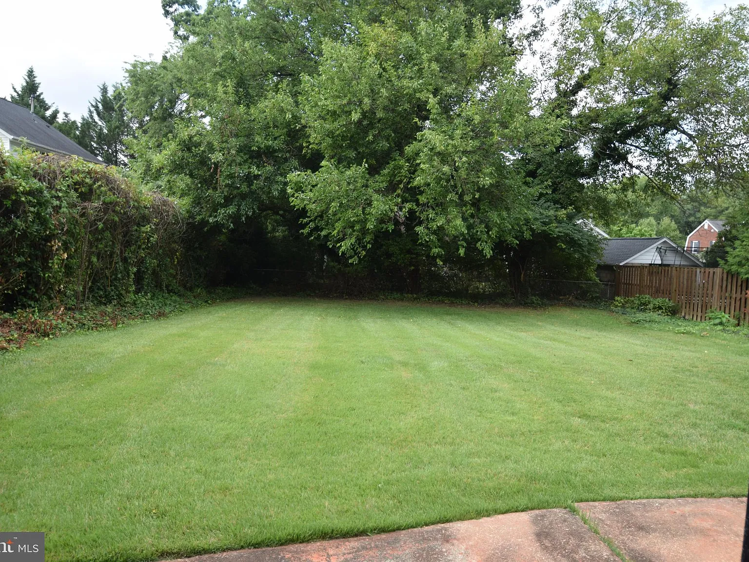 3 bed, 1557 sqft, $4,500 — Photo 3