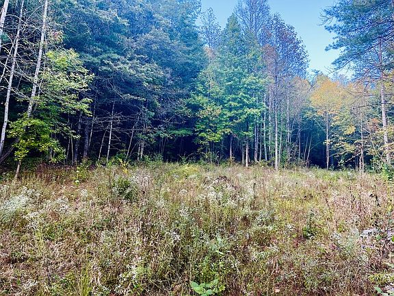 4th image of 1798 Flea Mountain Rd