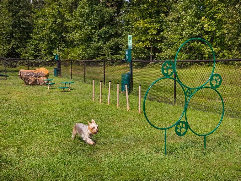 Dog Park On-Site
