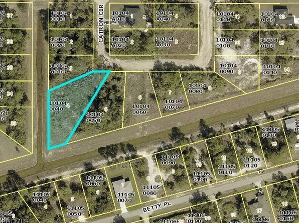 2525 Catron Cir, Lehigh Acres, FL 33971
