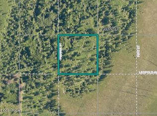 68404 Leopold Ave, Anchor Pt, AK 99556