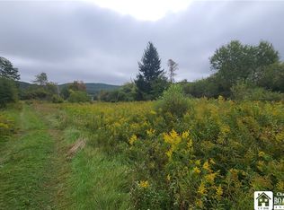 0 County Road 5 #51, Little Genesee, NY 14754