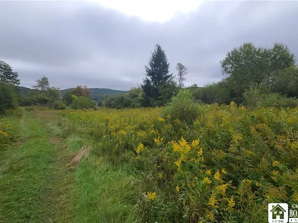 0 County Road 5 #51, Little Genesee, NY 14754