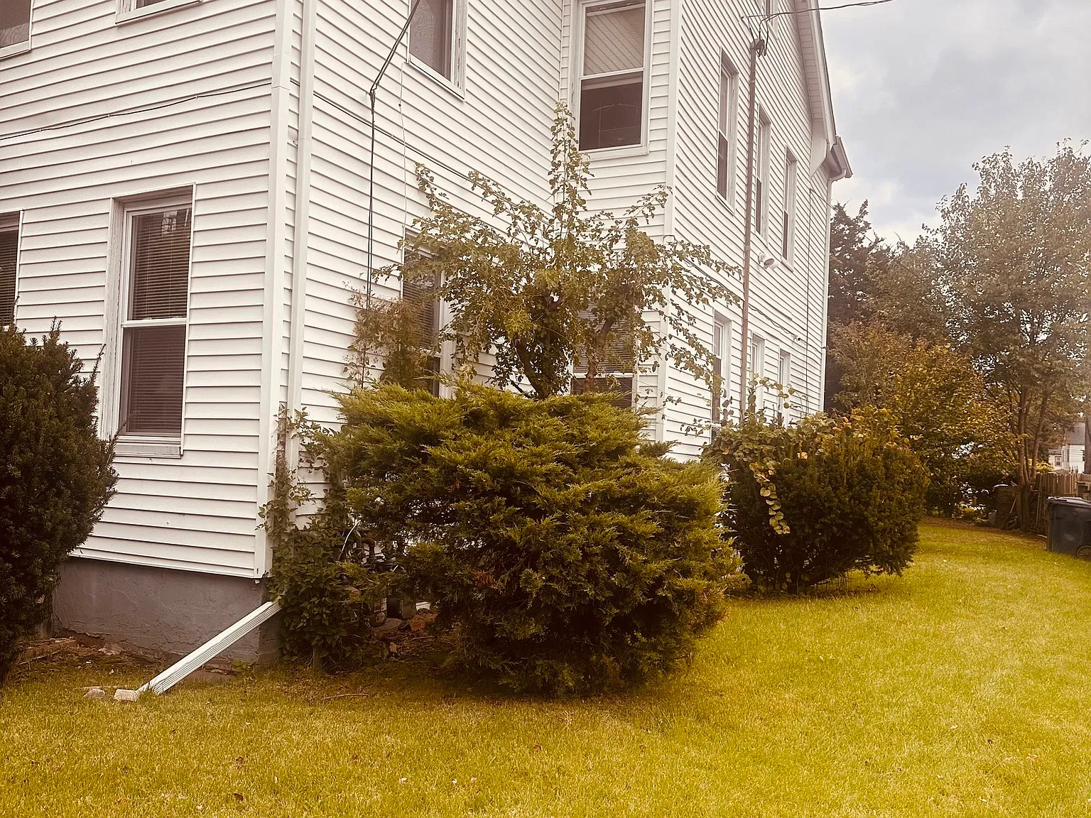 5 bed, 3.0 bath, 2859 sqft, $1,750 — Photo 3