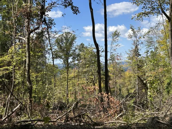 LOT 3 Crane School Rd, Terra Alta, WV 26764