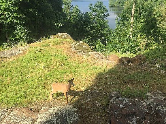 3rd image of 42181 Honey Hill Rd