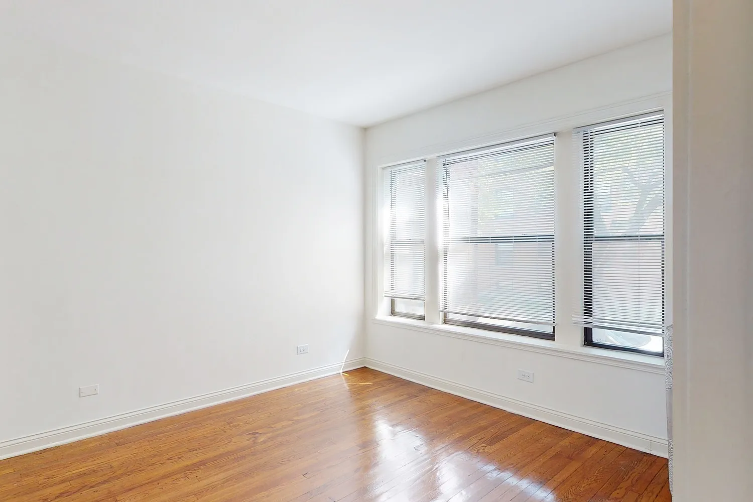 5350-5358 S. Maryland Avenue — Photo 4