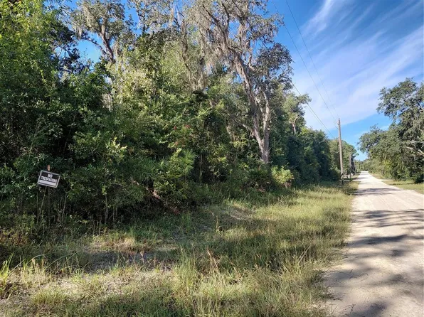BUTTERNUT DRIVE LOT 2, WEBSTER, FL 33597
