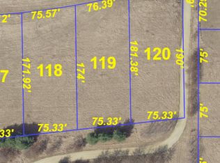 10A119 Canyon Club Dr, Apple River, IL 61001
