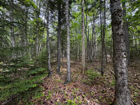 Lot 0 Hadley Point Road, Bar Harbor, ME 04609