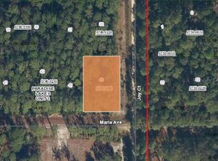 0 Marie Ave LOT 44, Georgetown, FL 32139