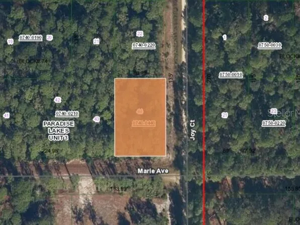 0 Marie Ave Lot 44, Georgetown, FL 32139