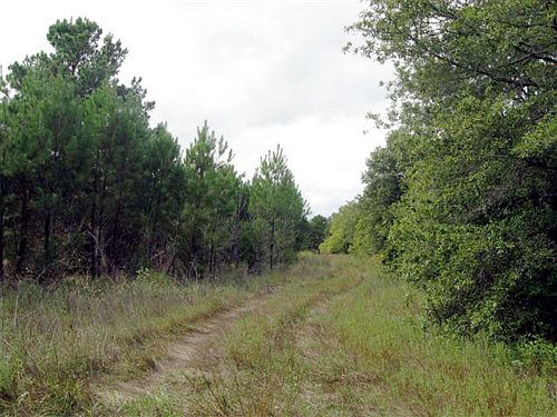 1st image of Fm 346 W