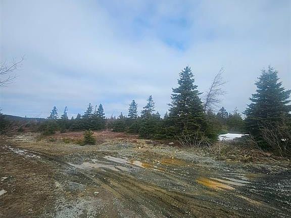 3rd image of 153 SEYMOURS Road