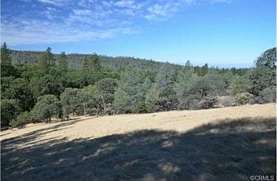Clearing #1 with views of foothills.