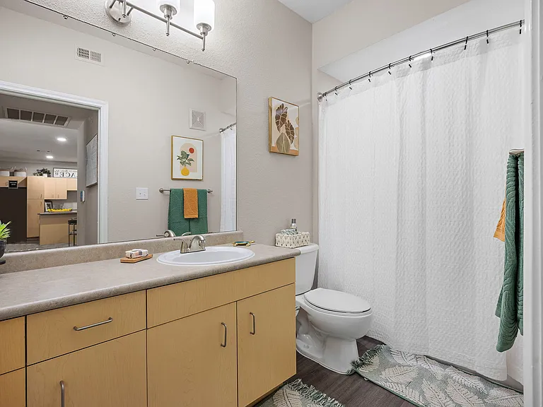 Artisan Apartments & Shops in Austin Texas