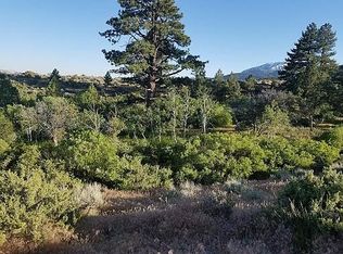 4680 S Saddlehorn Dr, Reno, NV 89511