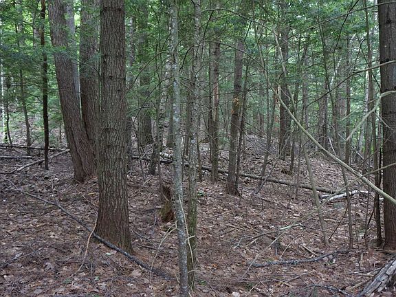 4th image of 00 Hanover Drive #193